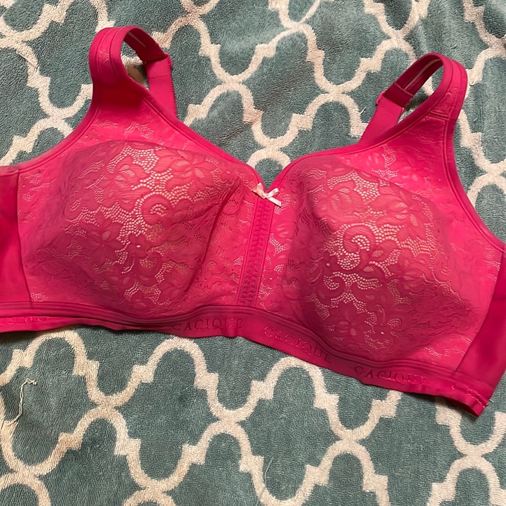 Cacique lace bra.